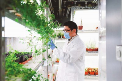 【文匯報】追尋植物再生的神秘力量--中國科學(xué)院