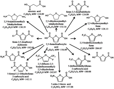 寧波材料所生物基平臺(tái)化合物2,5-呋喃二甲酸(FDCA)中試成功試車