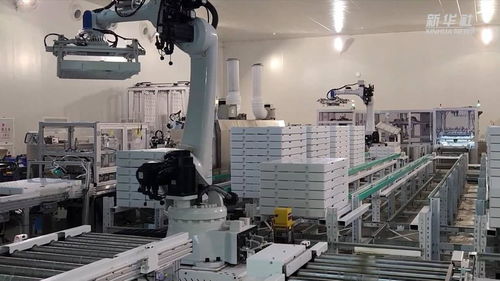 新華全媒 探訪大型 無人植物工廠