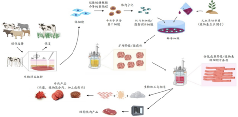 226起投融資、52個過億項目.食品飲料行業有哪些潛力賽道值得挖掘?